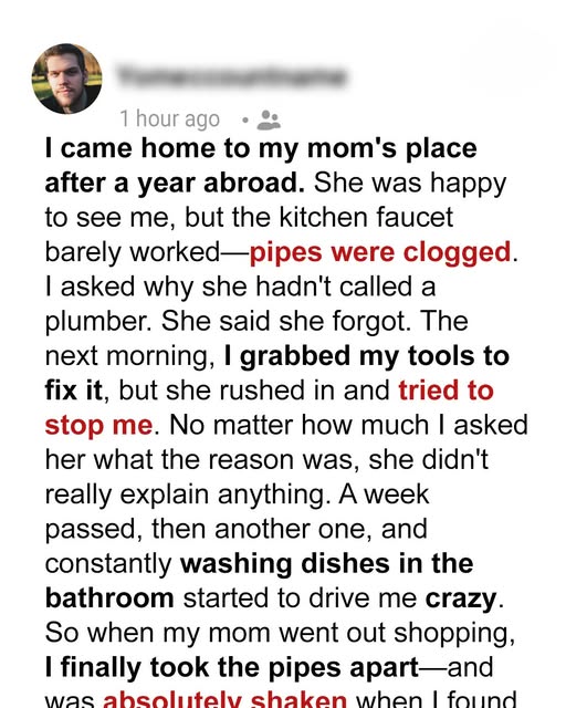 My Mom Refused to Let Me Fix the Clogged Kitchen Sink Pipes – What I Eventually Found Inside Left Me Speechless