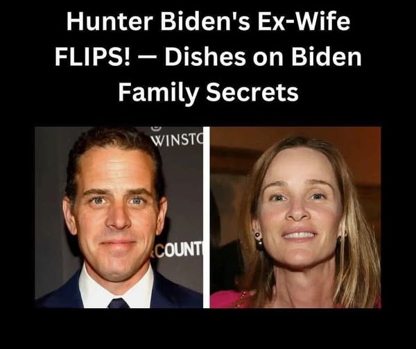 IRS Weighed Hunter Biden Felony Charge For Raiding Daughter’s College Fund