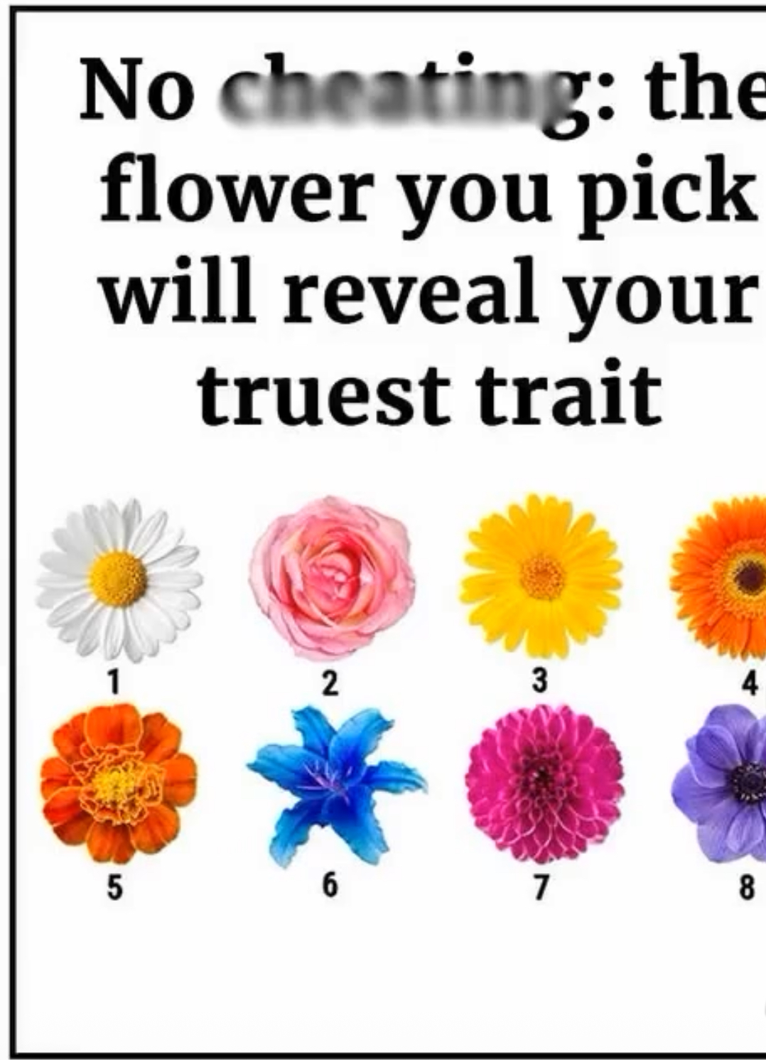 The Flower You Pick Will Reveal Your Truest Trait
