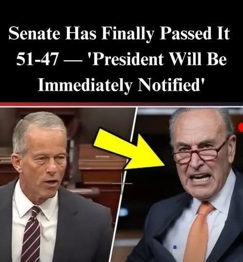 Senate Votes 88-2 to Bolster Key Energy Sector